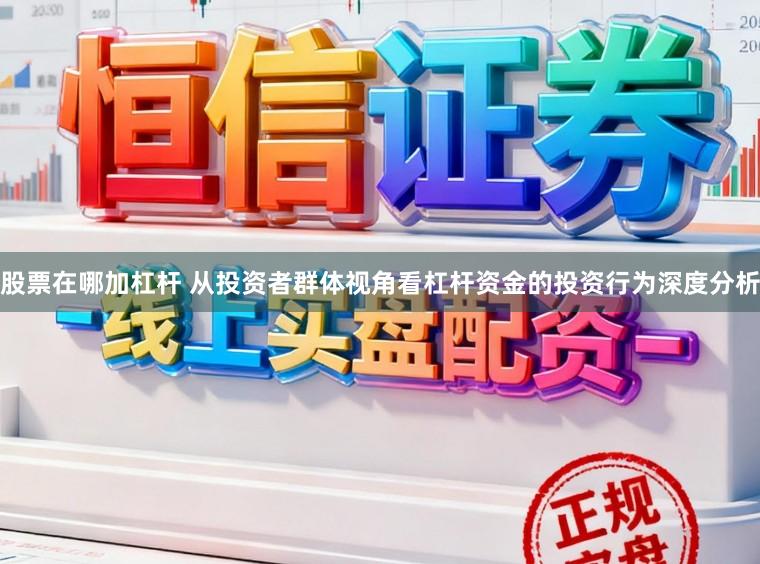 股票在哪加杠杆 从投资者群体视角看杠杆资金的投资行为深度分析